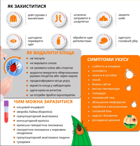 На зображенні представлена інформаційна пам’ятка, розділена на кілька тематичних блоків, що стосуються профілактики та дій у разі укусу кліща
