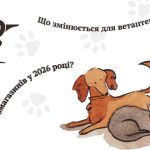 На зображенні є малюнок двох тварин: собаки та кота, які лежать поруч один з одним. Собаки має коричневе хутро, а кіт — сіре з білими плямами. На фоні зображені світлі відбитки лап тварин. У верхній частині зображення розташований символ аптеки — чаша зі змією, що є частиною логотипу ветеринарної медицини. Текст на зображенні українською мовою: "Що змінюється для ветеринарів і зоомагазинів у 2026 році?"