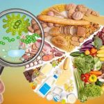 Різноманітні продукти харчування, такі як фрукти, овочі, зернові та м'ясо, розташовані колом, а збільшувальне скло виявляє мікроорганізми над ними