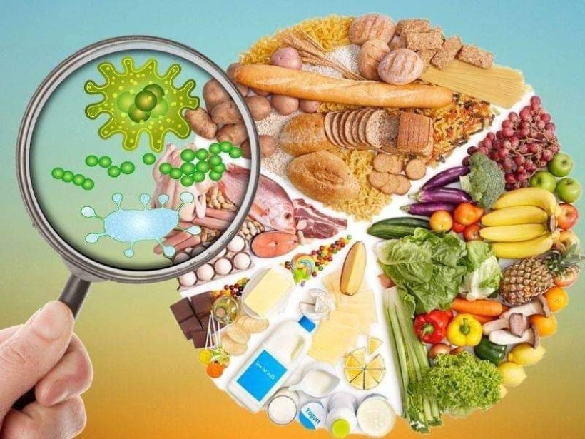 Різноманітні продукти харчування, такі як фрукти, овочі, зернові та м'ясо, розташовані колом, а збільшувальне скло виявляє мікроорганізми над ними