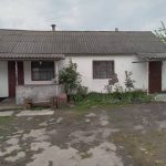 Невеликий сільський будинок з білими стінами, сірим хвилястим дахом, двома вікнами та дверима.