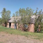 Фото будинку з аукціону.