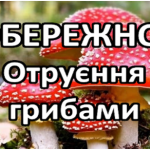 Червоні мухомори в лісі з написом «ОБЕРЕЖНО! Отруєння грибами»
