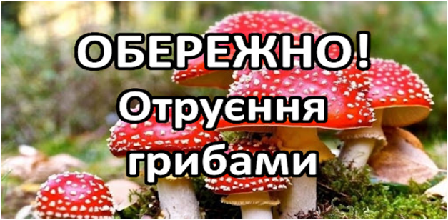 Червоні мухомори в лісі з написом «ОБЕРЕЖНО! Отруєння грибами»